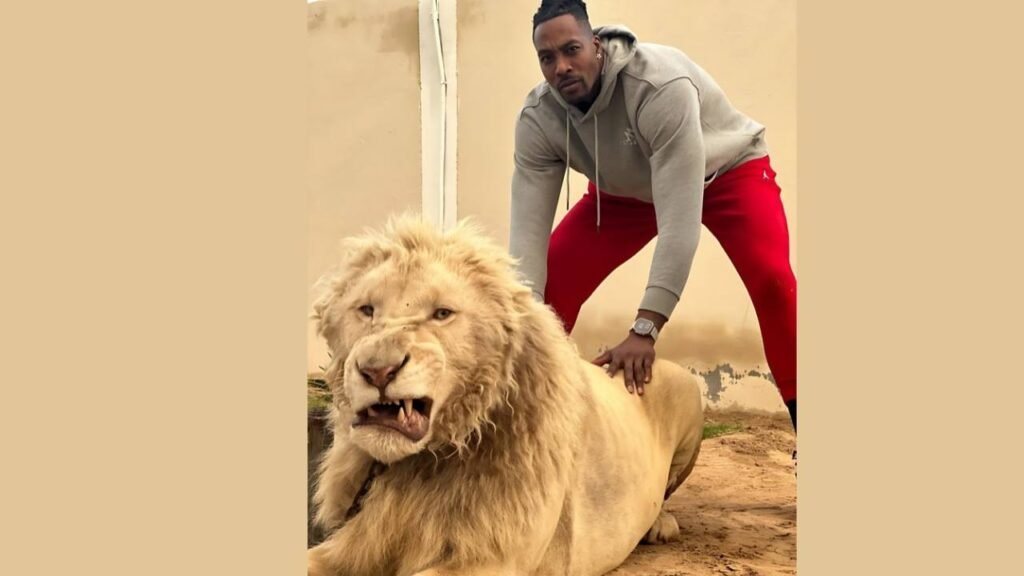 Dwight Howard gently pets a lion in a zoo, showcasing a moment of interaction between human and animal.