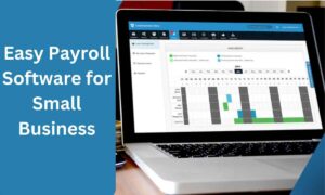 Easy Payroll Software for Small Business