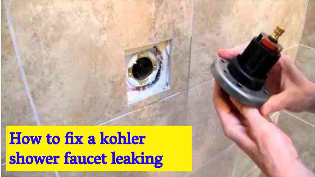 kohler shower faucet leaking