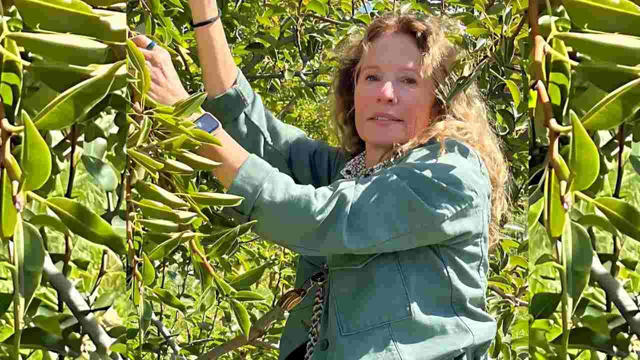 Nancy Travis Age, Boyfriend, Height, Weight, Bra Size, Shoe Size Nancy Travis